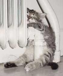 tired