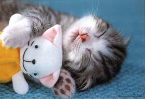 tired